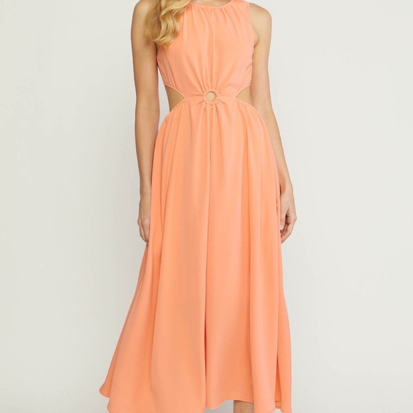 🌸Cut Out Midi Dress ENTRO🌸 - Picture 3 of 5